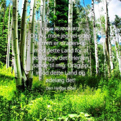 Picture 04 - Esajas 36:10 DA1871 - Og nu, mon jeg vel uden Herren er dragen op imod - Bible Verse Picture