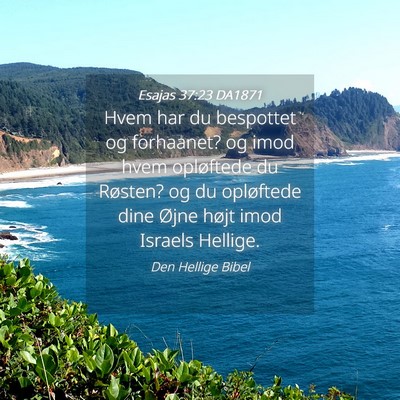 Picture 04 - Esajas 37:23 DA1871 - Hvem har du bespottet og forhaanet? og imod hvem - Bible Verse Picture