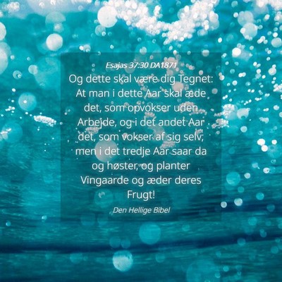 Picture 04 - Esajas 37:30 DA1871 - Og dette skal være dig Tegnet: At man i dette - Bible Verse Picture