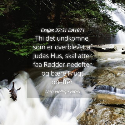 Picture 04 - Esajas 37:31 DA1871 - Thi det undkomne, som er overblevet af Judas Hus, - Bible Verse Picture