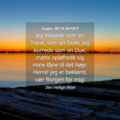 Picture 04 - Esajas 38:14 DA1871 - Jeg klagede som en Trane, som en Svale, jeg - Bible Verse Picture