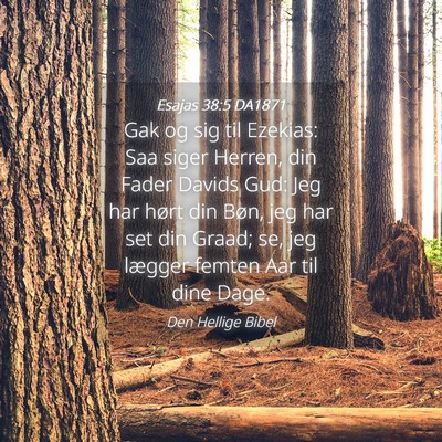 Picture 04 - Esajas 38:5 DA1871 - Gak og sig til Ezekias: Saa siger Herren, din - Bible Verse Picture