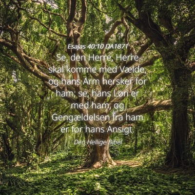 Picture 04 - Esajas 40:10 DA1871 - Se, den Herre, Herre skal komme med Vælde, og - Bible Verse Picture