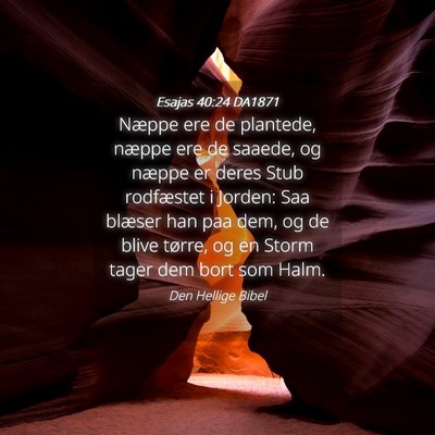 Picture 04 - Esajas 40:24 DA1871 - Næppe ere de plantede, næppe ere de saaede, og - Bible Verse Picture