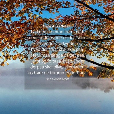 Picture 04 - Esajas 41:22 DA1871 - Lad dem komme frem med dem og forkynde os det, - Bible Verse Picture