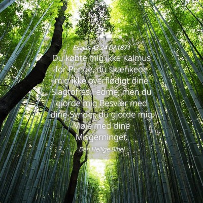 Picture 04 - Esajas 43:24 DA1871 - Du købte mig ikke Kalmus for Penge, du skænkede - Bible Verse Picture