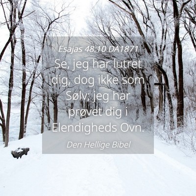 Picture 04 - Esajas 48:10 DA1871 - Se, jeg har lutret dig, dog ikke som Sølv; jeg - Bible Verse Picture