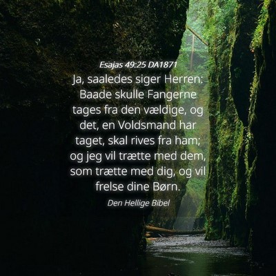 Picture 04 - Esajas 49:25 DA1871 - Ja, saaledes siger Herren: Baade skulle Fangerne - Bible Verse Picture