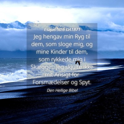 Picture 04 - Esajas 50:6 DA1871 - Jeg hengav min Ryg til dem, som sloge mig, og - Bible Verse Picture