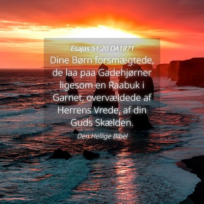 Picture 04 - Esajas 51:20 DA1871 - Dine Børn forsmægtede, de laa paa Gadehjørner - Bible Verse Picture