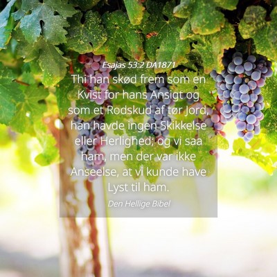 Picture 04 - Esajas 53:2 DA1871 - Thi han skød frem som en Kvist for hans Ansigt - Bible Verse Picture