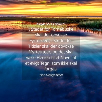 Picture 04 - Esajas 55:13 DA1871 - I Stedet for Tornebuske skal der opvokse - Bible Verse Picture