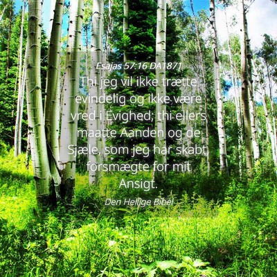 Picture 04 - Esajas 57:16 DA1871 - Thi jeg vil ikke trætte evindelig og ikke være - Bible Verse Picture