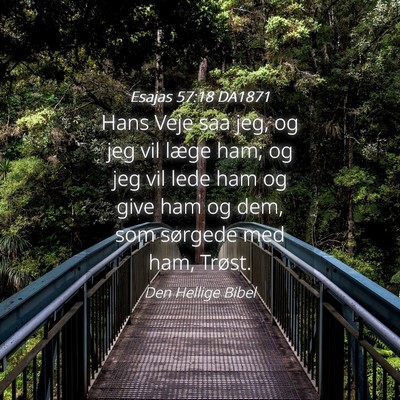 Picture 04 - Esajas 57:18 DA1871 - Hans Veje saa jeg, og jeg vil læge ham; og jeg - Bible Verse Picture