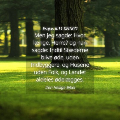 Picture 04 - Esajas 6:11 DA1871 - Men jeg sagde: Hvor længe, Herre? og han sagde: - Bible Verse Picture