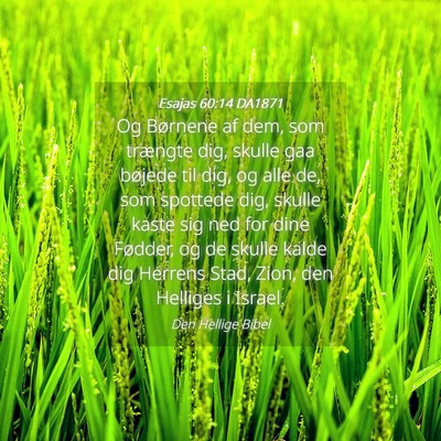 Picture 04 - Esajas 60:14 DA1871 - Og Børnene af dem, som trængte dig, skulle gaa - Bible Verse Picture