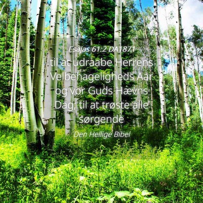 Picture 04 - Esajas 61:2 DA1871 - til at udraabe Herrens Velbehageligheds Aar og - Bible Verse Picture