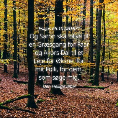 Picture 04 - Esajas 65:10 DA1871 - Og Saron skal blive til en Græsgang for Faar og - Bible Verse Picture