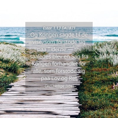 Picture 04 - Ester 1:13 DA1871 - Og Kongen sagde til de vise, som forstode sig paa - Bible Verse Picture