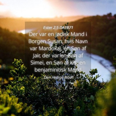Picture 04 - Ester 2:5 DA1871 - Der var en jødisk Mand i Borgen Susan, hvis Navn - Bible Verse Picture