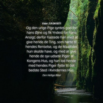 Picture 04 - Ester 2:9 DA1871 - Og den unge Pige syntes god for hans Øjne og fik - Bible Verse Picture