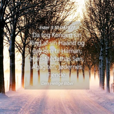 Picture 04 - Ester 3:10 DA1871 - Da tog Kongen sin Ring af sin Haand og gav den - Bible Verse Picture