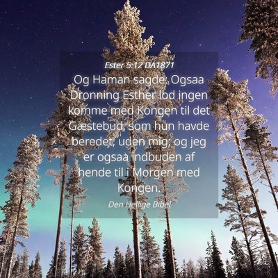 Picture 04 - Ester 5:12 DA1871 - Og Haman sagde: Ogsaa Dronning Esther lod ingen - Bible Verse Picture