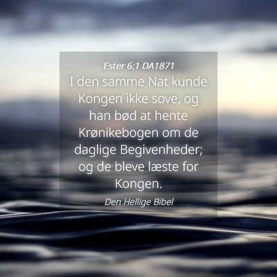 Picture 04 - Ester 6:1 DA1871 - I den samme Nat kunde Kongen ikke sove, og han - Bible Verse Picture