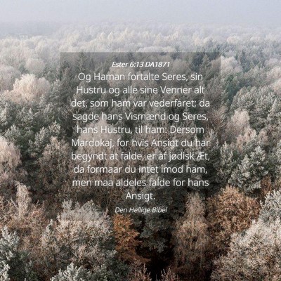 Picture 04 - Ester 6:13 DA1871 - Og Haman fortalte Seres, sin Hustru og alle sine - Bible Verse Picture
