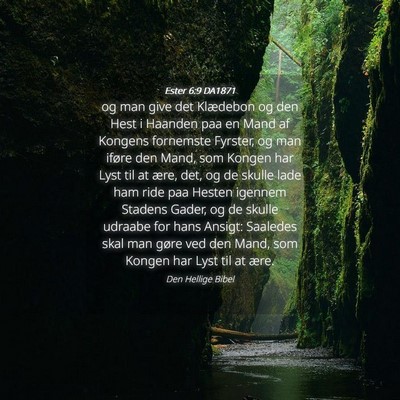 Picture 04 - Ester 6:9 DA1871 - og man give det Klædebon og den Hest i Haanden - Bible Verse Picture