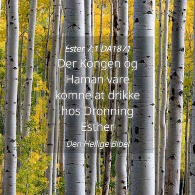 Picture 04 - Ester 7:1 DA1871 - Der Kongen og Haman vare komne at drikke hos - Bible Verse Picture