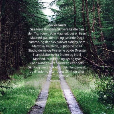 Picture 04 - Ester 8:9 DA1871 - Saa bleve Kongens Skrivere kaldte paa den Tid, i - Bible Verse Picture