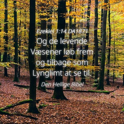Picture 04 - Ezekiel 1:14 DA1871 - Og de levende Væsener løb frem og tilbage som - Bible Verse Picture