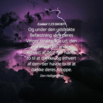 Picture 04 - Ezekiel 1:23 DA1871 - Og under den udstrakte Befæstning vare deres - Bible Verse Picture