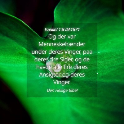 Picture 04 - Ezekiel 1:8 DA1871 - Og der var Menneskehænder under deres Vinger, - Bible Verse Picture