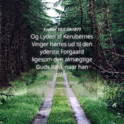 Picture 04 - Ezekiel 10:5 DA1871 - Og Lyden af Kerubernes Vinger hørtes ud til den - Bible Verse Picture
