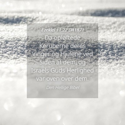 Picture 04 - Ezekiel 11:22 DA1871 - Da opløftede Keruberne deres Vinger og Hjulene - Bible Verse Picture