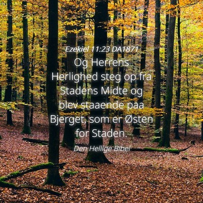 Picture 04 - Ezekiel 11:23 DA1871 - Og Herrens Herlighed steg op fra Stadens Midte og - Bible Verse Picture