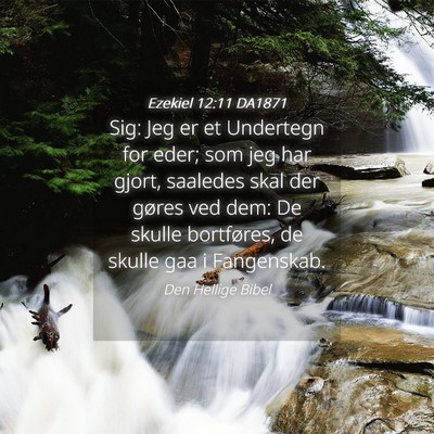 Picture 04 - Ezekiel 12:11 DA1871 - Sig: Jeg er et Undertegn for eder; som jeg har - Bible Verse Picture