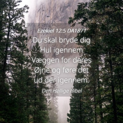 Picture 04 - Ezekiel 12:5 DA1871 - Du skal bryde dig Hul igennem Væggen for deres - Bible Verse Picture