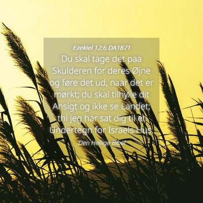 Picture 04 - Ezekiel 12:6 DA1871 - Du skal tage det paa Skulderen for deres Øjne og - Bible Verse Picture