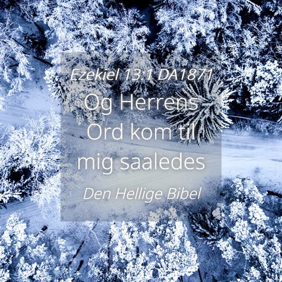 Picture 04 - Ezekiel 13:1 DA1871 - Og Herrens Ord kom til mig - Bible Verse Picture