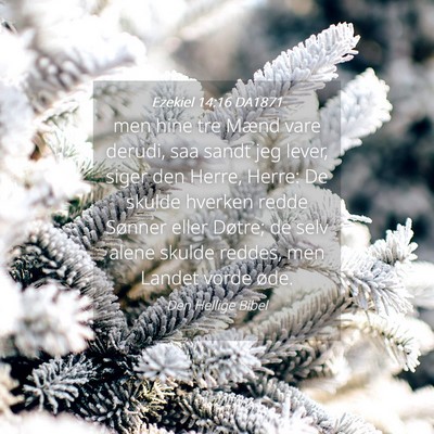 Picture 04 - Ezekiel 14:16 DA1871 - men hine tre Mænd vare derudi, saa sandt jeg - Bible Verse Picture