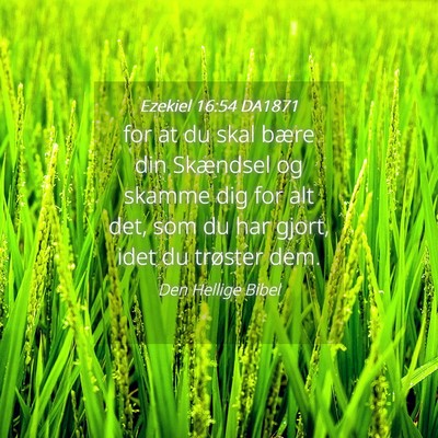 Picture 04 - Ezekiel 16:54 DA1871 - for at du skal bære din Skændsel og skamme dig - Bible Verse Picture