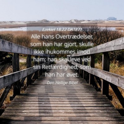 Picture 04 - Ezekiel 18:22 DA1871 - Alle hans Overtrædelser, som han har gjort, - Bible Verse Picture