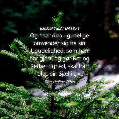 Picture 04 - Ezekiel 18:27 DA1871 - Og naar den ugudelige omvender sig fra sin - Bible Verse Picture