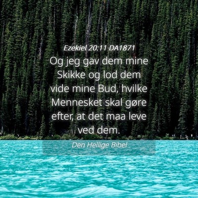 Picture 04 - Ezekiel 20:11 DA1871 - Og jeg gav dem mine Skikke og lod dem vide mine - Bible Verse Picture