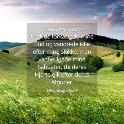 Picture 04 - Ezekiel 20:16 DA1871 - fordi de forkastede mine Bud og vandrede ikke - Bible Verse Picture