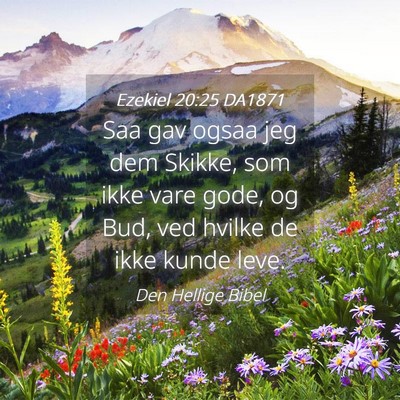 Picture 04 - Ezekiel 20:25 DA1871 - Saa gav ogsaa jeg dem Skikke, som ikke vare gode, - Bible Verse Picture