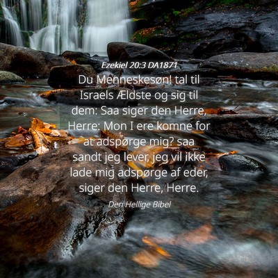 Picture 04 - Ezekiel 20:3 DA1871 - Du Menneskesøn! tal til Israels Ældste og sig - Bible Verse Picture